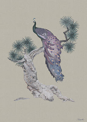 Peacock in Pine Tree by Spadecaller Peacock in Pine Tree by Spadecaller