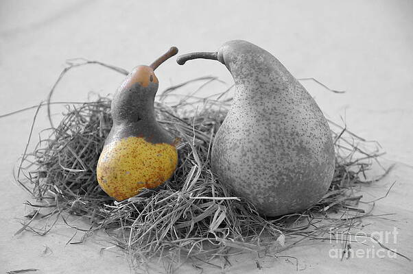 Pear nest by Davide Poggio