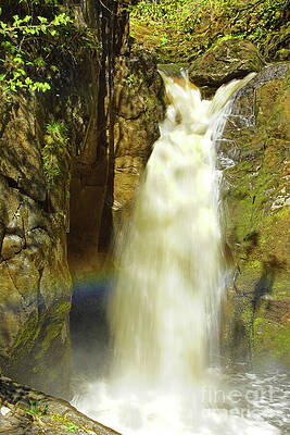 Hollybush Spout waterfall at Ingleton, Yorkshire Dales. by David Birchall Hollybush Spout waterfall at Ingleton, Yorkshire Dales. by David Birchall