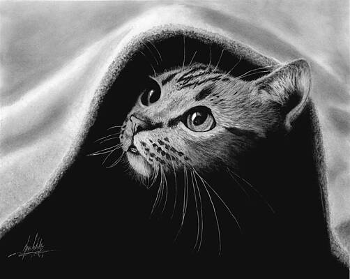 Peek-a-boo Kitten by James Schultz Peek-a-boo Kitten by James Schultz