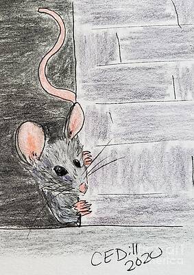 Peeking Mouse by C E Dill Peeking Mouse by C E Dill