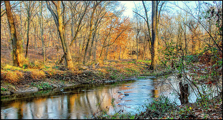 Pennsylvania Stream in Early Spring by A Macarthur Gurmankin Pennsylvania Stream in Early Spring by A Macarthur Gurmankin