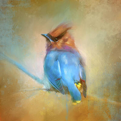 Perched Waxwing by Jai Johnson Perched Waxwing by Jai Johnson