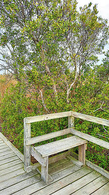 Perfect Spot to View the Marsh by Ola Allen Perfect Spot to View the Marsh by Ola Allen