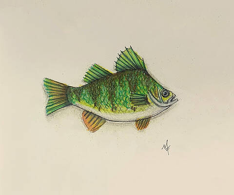 Perky Perch by Michelle Florence Perky Perch by Michelle Florence