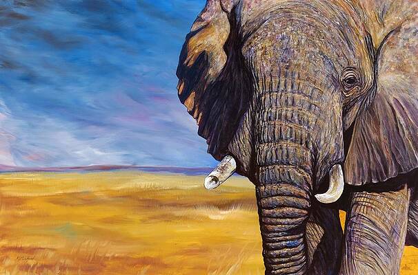 Perseverance by RJ Marchand Perseverance by RJ Marchand