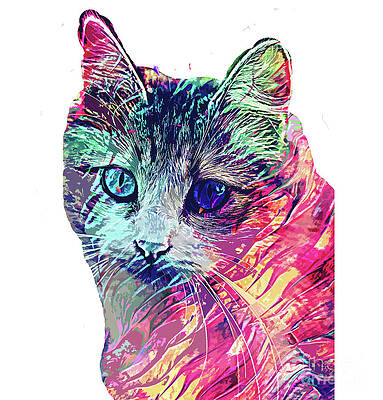 Hello Kitty Art Fine Art America