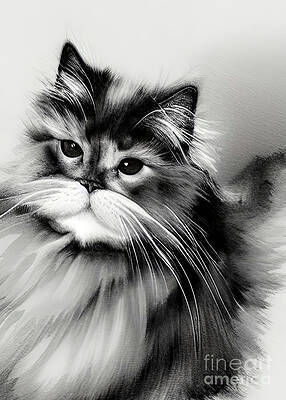 ART  JeanMi Tattoo portrait  réalisme  Facebook  Cat art Animal  drawings Cat drawing