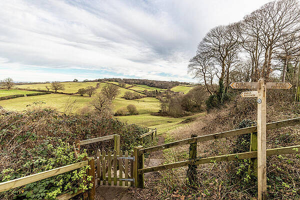 Wall Art - Photograph - Petworth Countryside by Shirley Mitchell