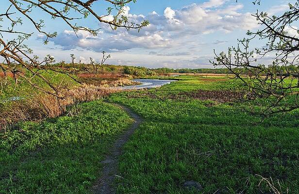 Wall Art - Photograph - Pheasant Branch Conservancy 3, Middleton, WI by Steven Ralser