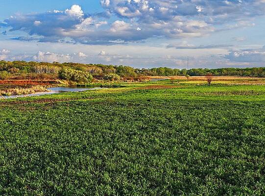 Wall Art - Photograph - Pheasant Branch Conservancy 4, Middleton, WI by Steven Ralser