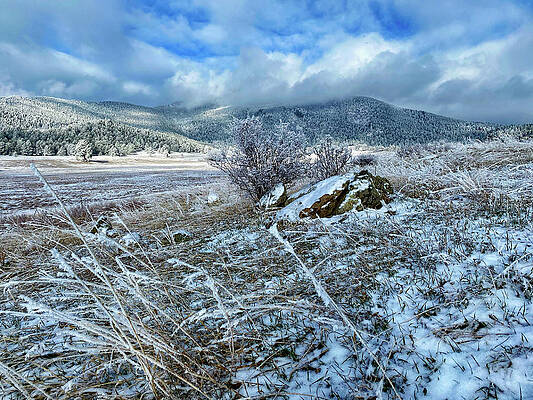 Phenomenal Light by Dan Miller Phenomenal Light by Dan Miller