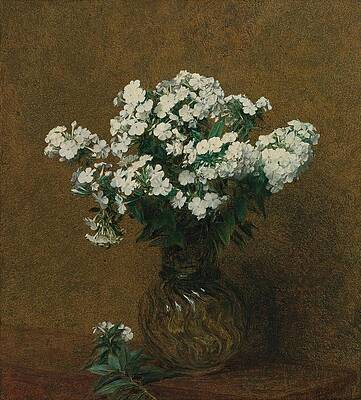 Wall Art - Drawing - Phlox Blancs Dans Un Vase  art by Henri FantinLatour French