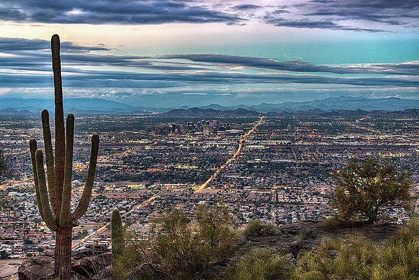 Wall Art - Photograph - Phoenix Skyline in the evening by Dave Dilli