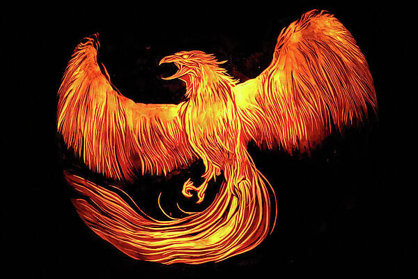 Phoenix by Stuart Manning Phoenix by Stuart Manning