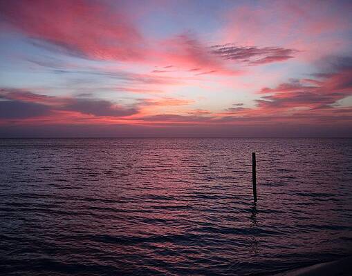 Wall Art - Photograph - Photo 102 Pink sunset by Lucie Dumas