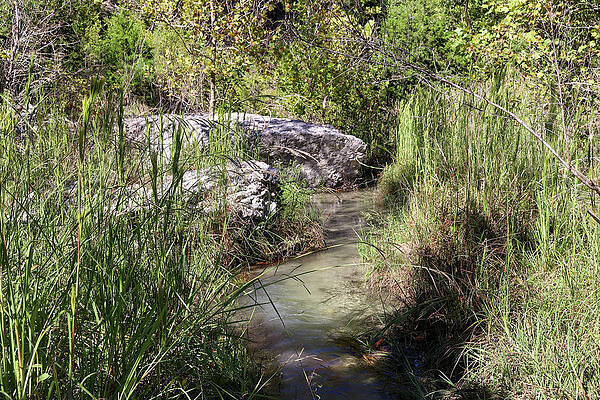 Wall Art - Photograph - Enchanted Stream - Picturesque Brook in Natural Tranquility by Brigitte Blanchette Thompson