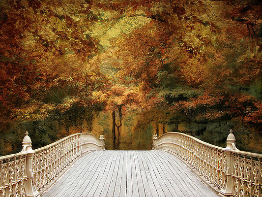 Wall Art - Photograph - Pine Bank Autumn by Jessica Jenney