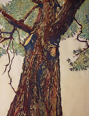 Wall Art - Painting - Pine Giant by Jenny Armitage