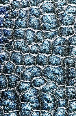 Wall Art - Digital Art - Pine Tree Bark Abstract by Bruce Block