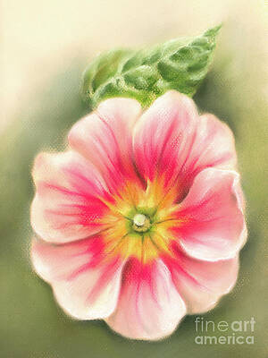 Pink and Red Primrose with Leaf by MM Anderson Pink and Red Primrose with Leaf by MM Anderson