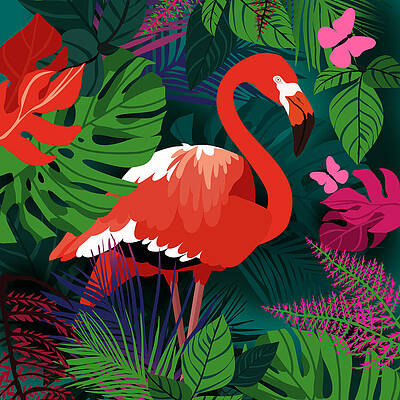vector illustration, color sketch. tropical birds set. pink flamingos  collection. simple hand drawing isolated on white background. cute clip art  for kids 10403266 Vector Art at Vecteezy