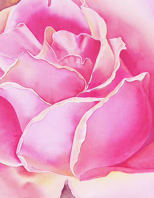 Simple Rose Art Page 15 Of 19 Fine Art America
