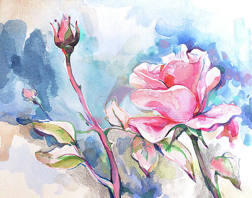 Pink roses by Katya Atanasova Pink roses by Katya Atanasova