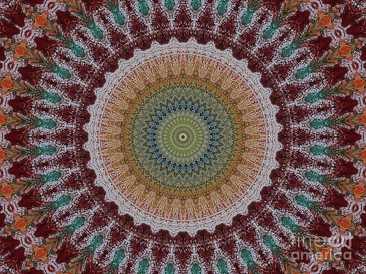 Playtime Mandala by Felipe Adan Lerma Playtime Mandala by Felipe Adan Lerma