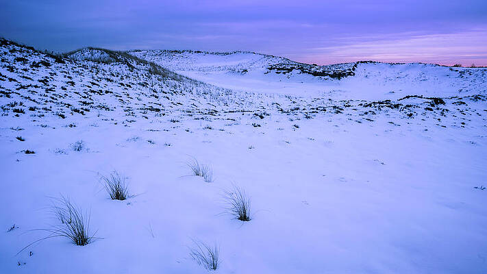 Plum Island, Twilight Dunes by Michael Hubley Plum Island, Twilight Dunes by Michael Hubley