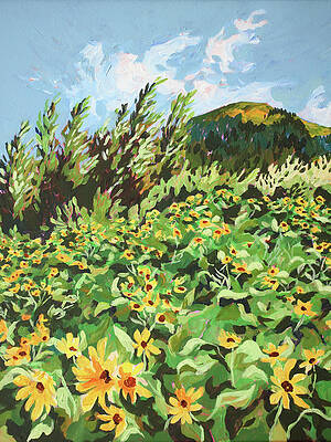 PNW Mountain Series Spring at Dog Mountain by Anisa Asakawa PNW Mountain Series Spring at Dog Mountain by Anisa Asakawa