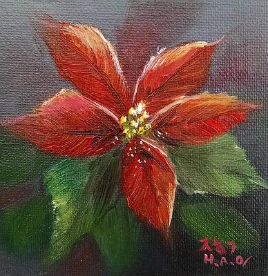Poinsettia by Helian Osher Poinsettia by Helian Osher