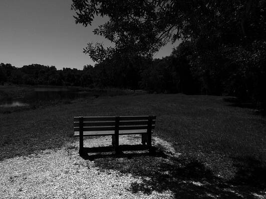 Ponder by the Pond by Robert Stanhope Ponder by the Pond by Robert Stanhope