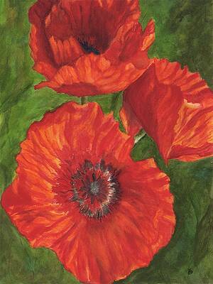 Poppies by Deborah Butts Poppies by Deborah Butts