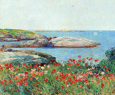 Wall Art - Painting - Poppies, Isles of Shoals, 1891 by Childe Hassam