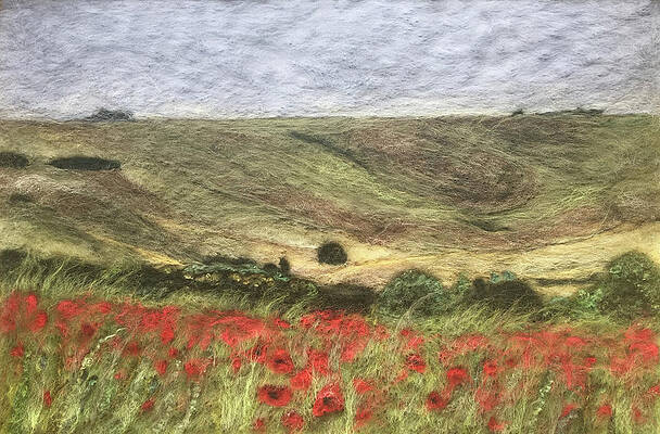 Poppy Field Marlborough Downs by Ushma Sargeant Poppy Field Marlborough Downs by Ushma Sargeant