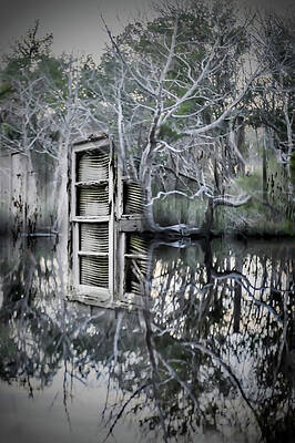 Portal on the Lake by David Michael-Baldwin