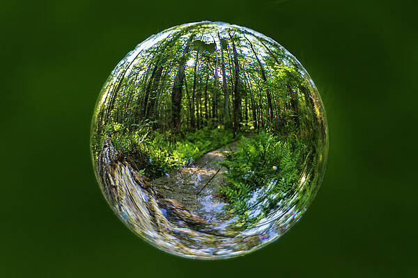 Wall Art - Photograph - Portal to Another Dimension by Bob Decker