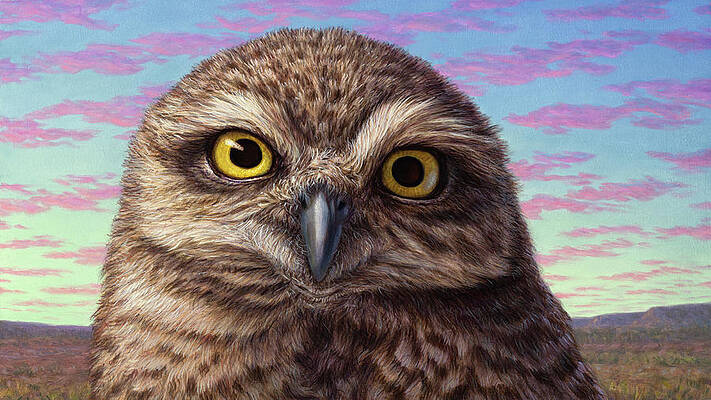 Portrait of a Burrowing Owl by James W Johnson Portrait of a Burrowing Owl by James W Johnson