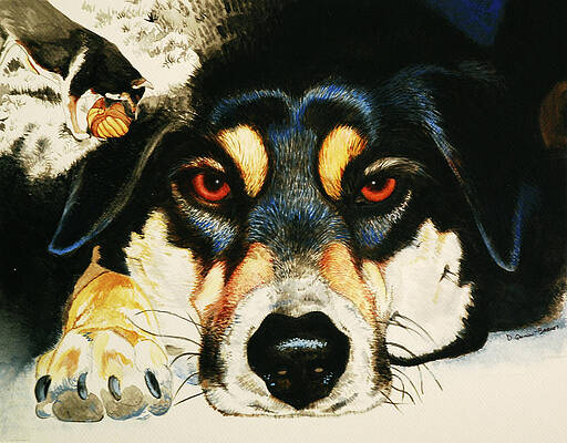 Portrait of Sobaka by Debra Quinn
