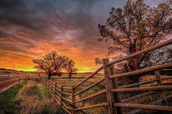 Post and Pole Fence line Sunrise by Fiskr Larsen Post and Pole Fence line Sunrise by Fiskr Larsen