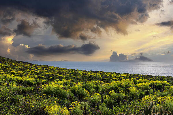 Wall Art - Photograph - Powerful Clouds at Point Dume by Marcus Jones