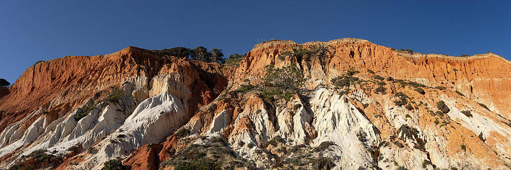 Wall Art - Photograph - Praia da Falesia red eroded cliffs Algarve Portugal by Sonny Ryse