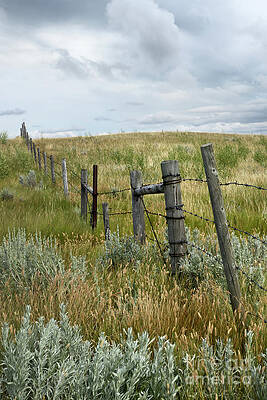 Prairie fields with old fence in rural Saskatchewan by Sandra Cunningham Prairie fields with old fence in rural Saskatchewan by Sandra Cunningham