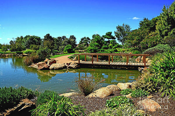 Pretty Botanical Gardens Dubbo by Kaye Menner by Kaye Menner Pretty Botanical Gardens Dubbo by Kaye Menner by Kaye Menner