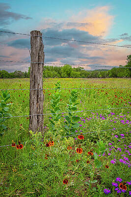 Pretty Skies Over Spring Wildflowers by Lynn Bauer Pretty Skies Over Spring Wildflowers by Lynn Bauer
