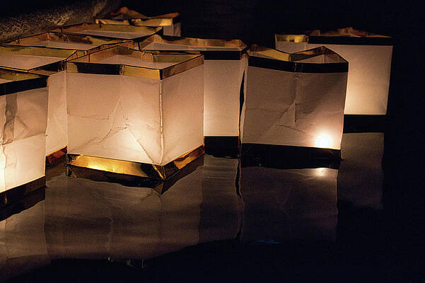 Wall Art - Photograph - Private Lantern Festival by Portia Olaughlin