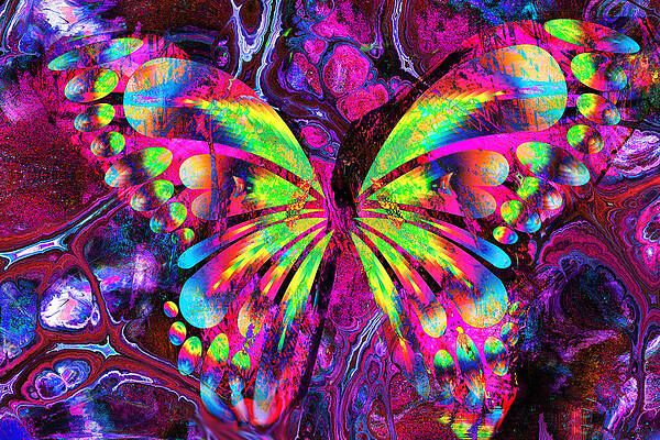 Wall Art - Digital Art - Psychedelic Butterfly by Lisa Yount