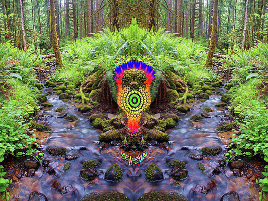 Psychedelic Creature of the Cosmic Creek of Time #2 by Ben Upham III Psychedelic Creature of the Cosmic Creek of Time #2 by Ben Upham III
