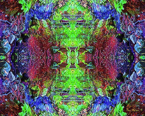 Psychedelic Creek on Tamalpais Planet Horizontally Flipped by Ben Upham III Psychedelic Creek on Tamalpais Planet Horizontally Flipped by Ben Upham III